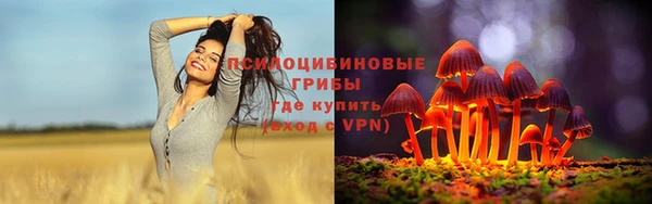 меф Горнозаводск