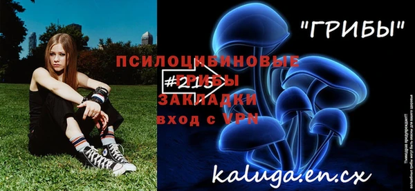 меф Горнозаводск